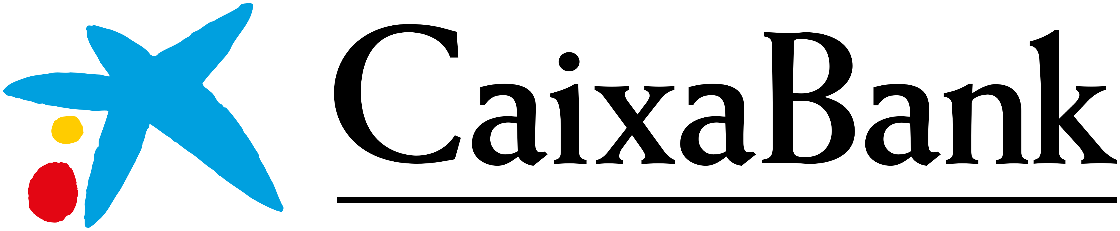 partner